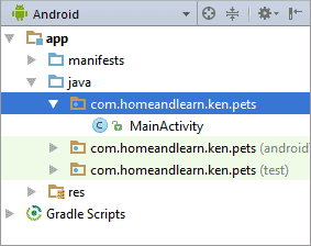 The project file in Android Studio